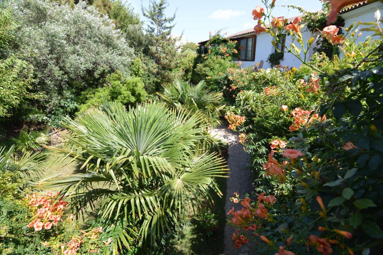 Residence L'Ulivo Budoni Bagian luar foto