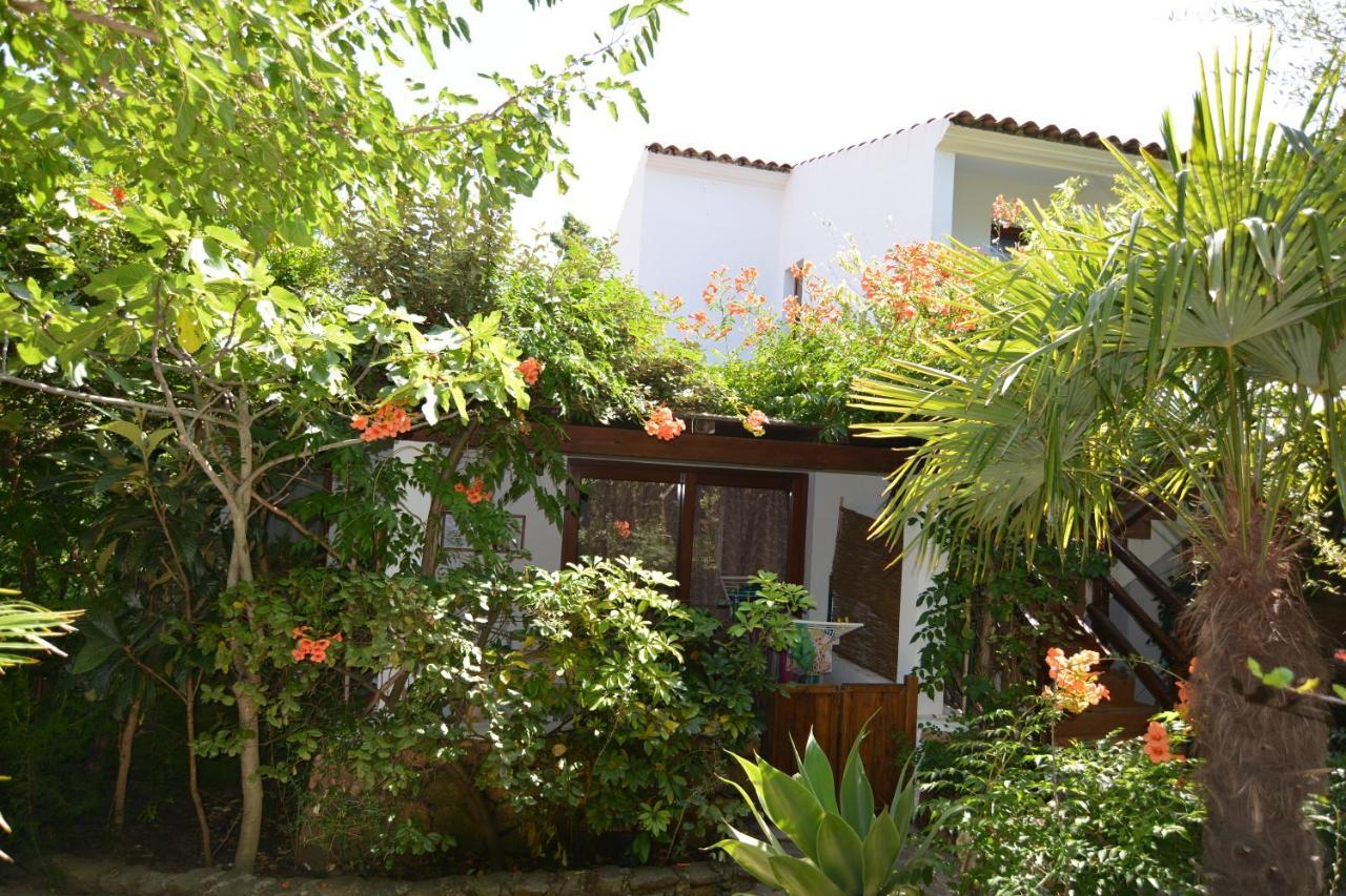 Residence L'Ulivo Budoni Bagian luar foto